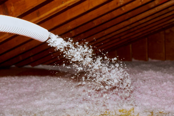 Best DIY Insulation Kits and Guidance in Linden, MI