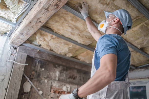 Best Fiberglass Insulation in Linden, MI