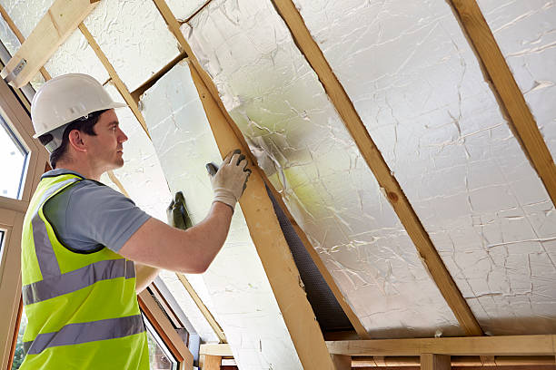 Types of Insulation We Offer in Linden, MI