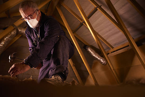 Professional Insulation Contractor in Linden, MI