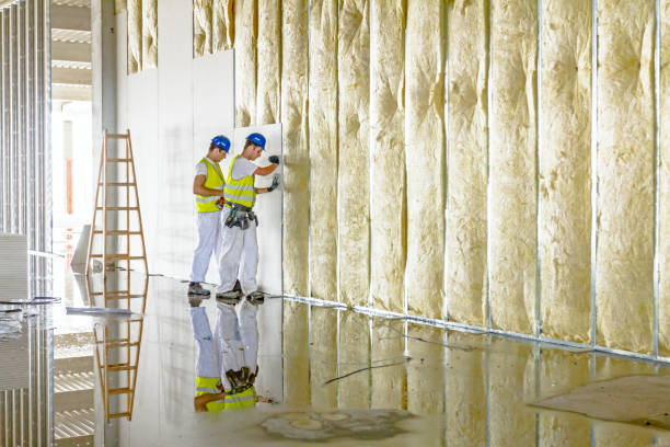 Reliable Linden, MI Insulation Contractor Solutions